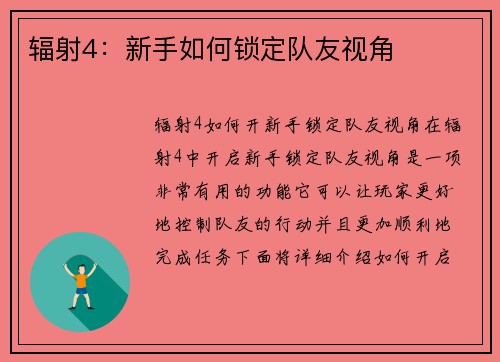 辐射4：新手如何锁定队友视角